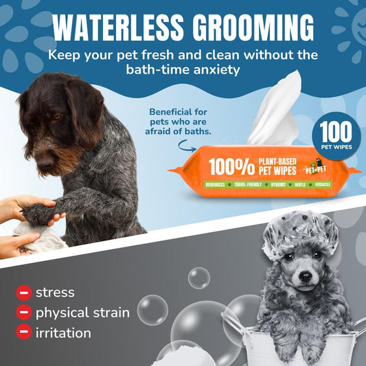 PET N PET 100% Plant-Based Hypoallergenic Dog Wipes, 100 Count, Unscented, Gentle Cleaning for Paws, Face & Butt