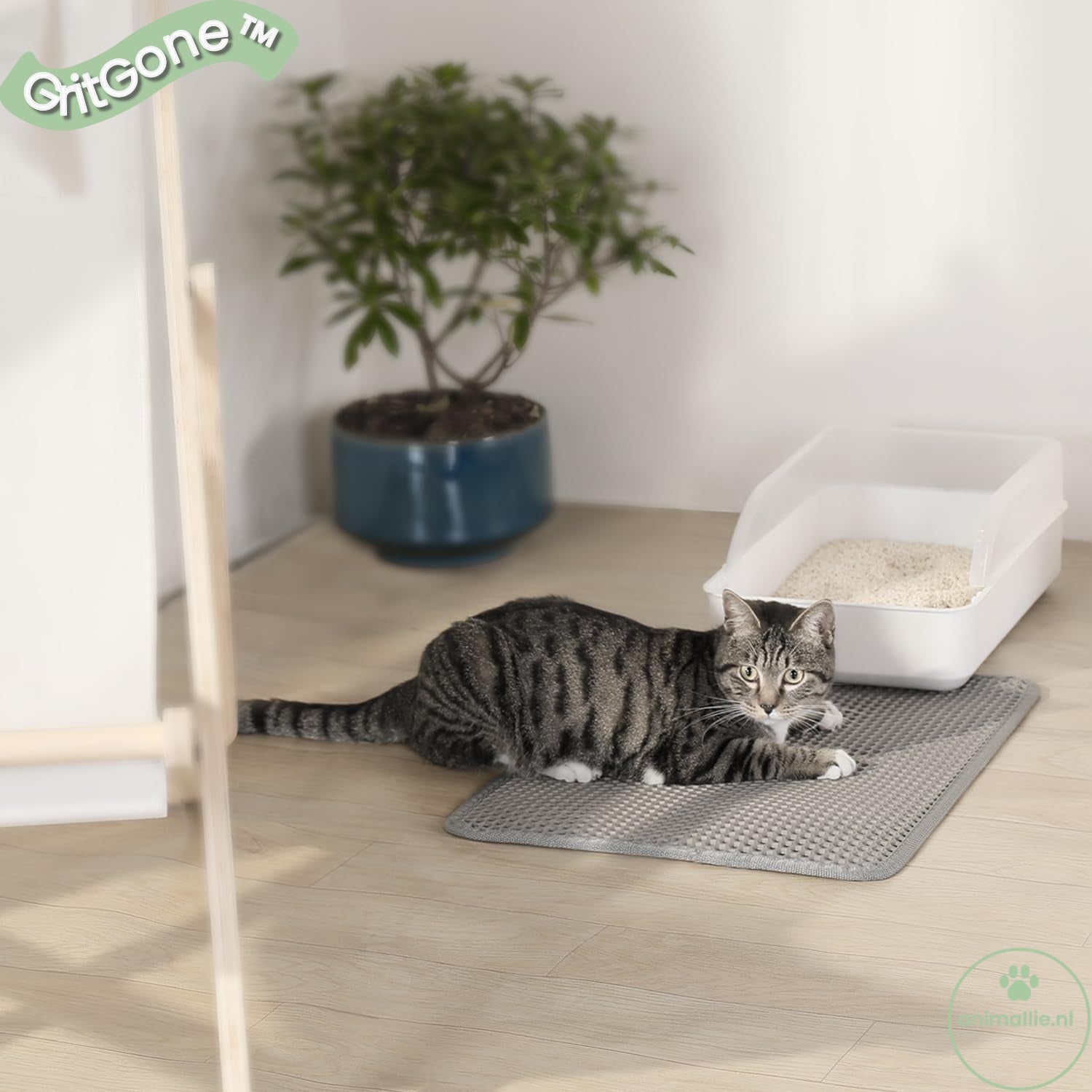 Conlun Katzenklo Matte, 58X42Cm Waben Doppelschicht Katzenstreu Matte, Urin- & Wasserdichte Katzenmatte Katzenklo, Leicht Zu Reinigen, Rutschfeste Katzenmatte Für Den Boden, Grau, 2317